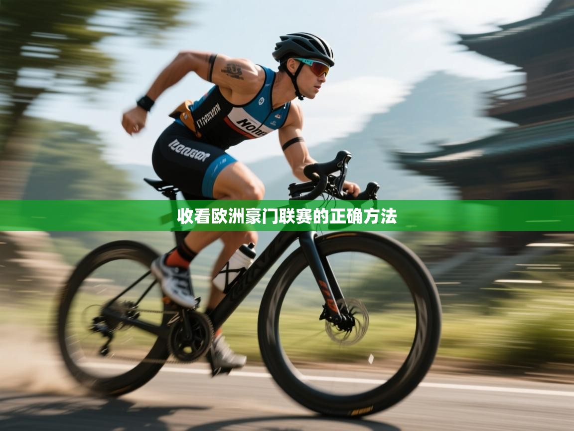 收看欧洲豪门联赛的正确方法  第2张