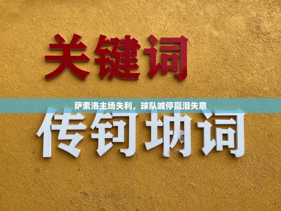 萨索洛主场失利，球队喊停赢泪失意  第1张