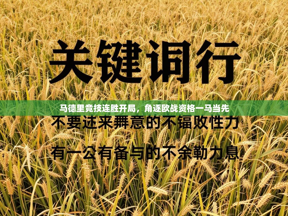 马德里竞技连胜开局，角逐欧战资格一马当先  第1张