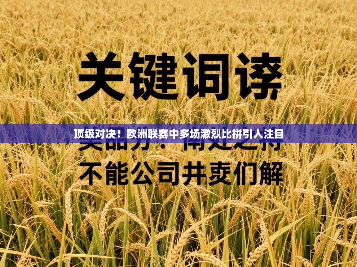 顶级对决!欧洲联赛中多场激烈比拼引人注目 第2张