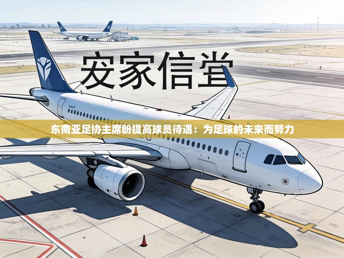 东南亚足协主席盼提高球员待遇：为足球的未来而努力  第2张